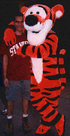 Tigger and I